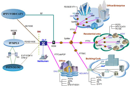 PON Network Architecture